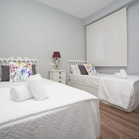 Apartamento Atico Centro Alicante